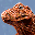 Gecko