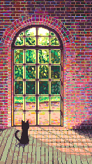_cat