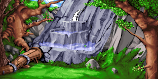 Well in the Forest