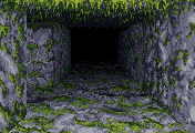 lolcd_053_32603955166_o