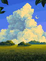 Field