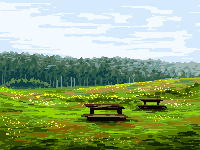 Benches