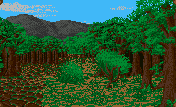 Forest