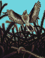 _mouse_and_bird