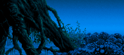 Night Forest Roots