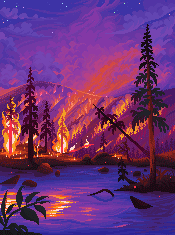 Forest On Fire