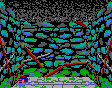 Thief Dungeon Wall