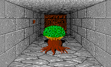fires_005_30890674084_o
