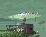 _mushroom1