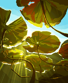 Pond Bottom