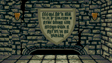 runvga_046_31785911484_o