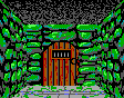 Thief Dungeon Door