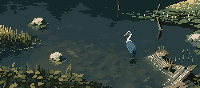 Storch