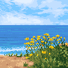 Shore Flowers