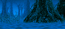 Night Forest