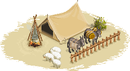 Donkeys