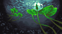 Lotus Flower