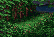 lolcd_047_32603955936_o