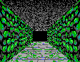 Thief Dungeon