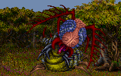 Ant Queen