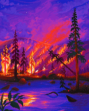 Forest on Fire