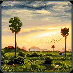 Village