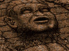 code_162_32173945905_o