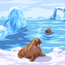 _seals