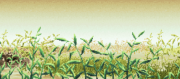 Grass