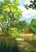 _forest_path