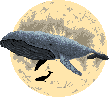 Floating Whales