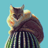 A Lynx on a Cactus