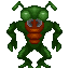 Insect