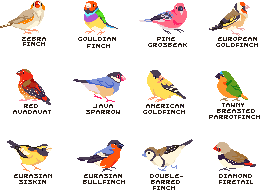 Birds