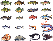 Fish