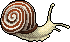 Snail