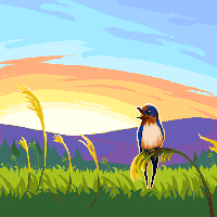 Bird