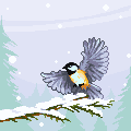 Birdy