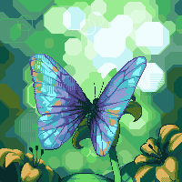 Butterfly