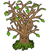 Ent