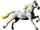 White Horse