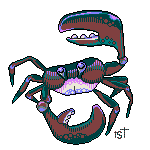 Crab