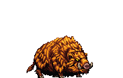 Fat Boar