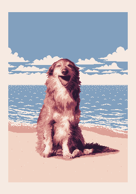 Dog on the Beach