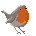 Robin