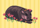 Pygmy