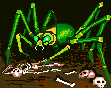 Bards Spider