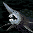 Shark