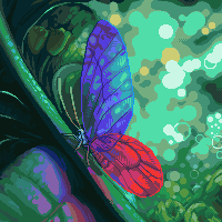 Butterfly