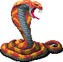 Cobra